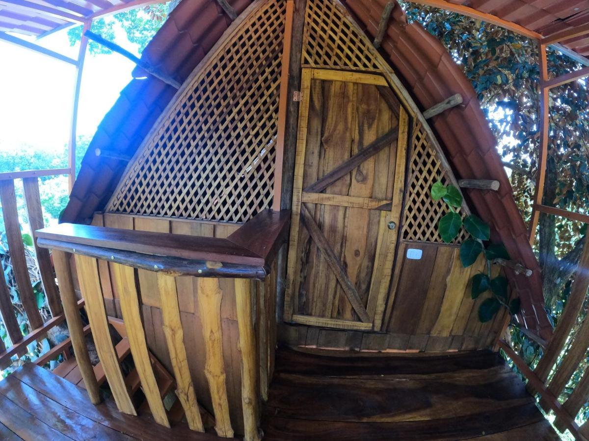 Tree House Samanea Lodge Puerto Limon Exterior foto