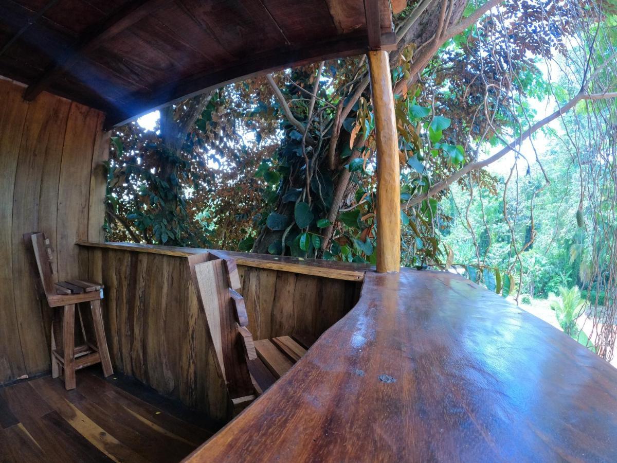 Tree House Samanea Lodge Puerto Limon Exterior foto